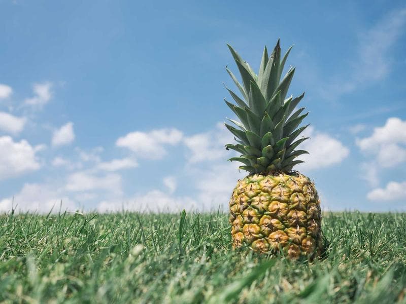 Vintage road bike — Sports & Outdoors